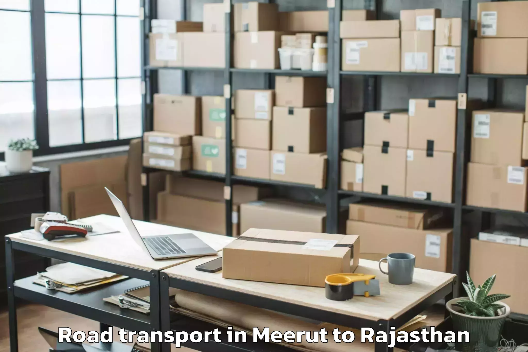 Easy Meerut to Asind Road Transport Booking